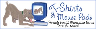 Rescue.jpg (20031 bytes)