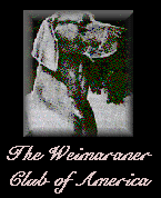 WCA.gif (8916 bytes)