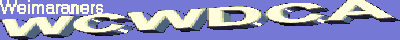 wcwdca.gif (2243 bytes)