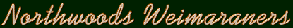 Weimaraners, Weimaraner Puppies, Show Weimaraners, Champion Weimaraners, Hunting Weimaraners, Maryland Weimaraners, Northwoods Weimaraners Monkton Maryland, Heidi Warren, Phil Warren     northwlogo.gif (16100 bytes)