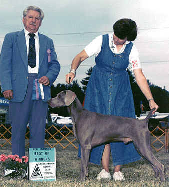 Phil & Heidi Warren raise Weimaraners, Top Quality Show, Obedience & Field, Northwoods Weimaraners, Monkton Maryland.         ruger.gif (91530 bytes)